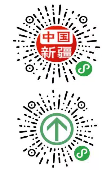 关于新疆政务服务苹果手机版的信息