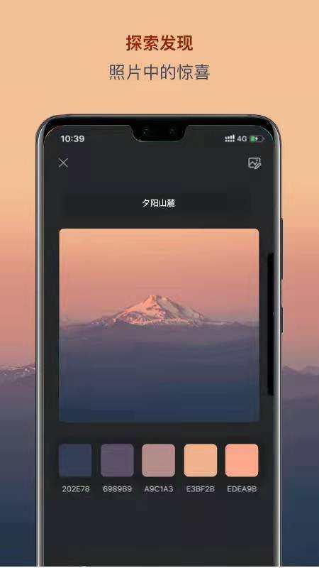 有什么艺术类的手机app吗？
