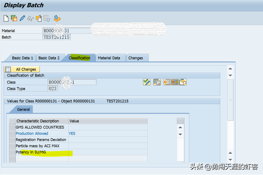 sap客户端sap财务软件是什么