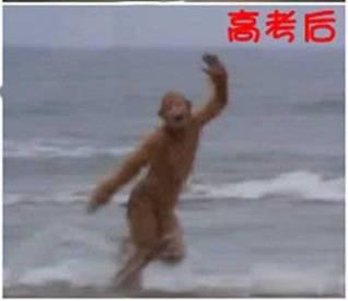 华为手机对焦怎么关
:高考后怎么玩<strongalt=