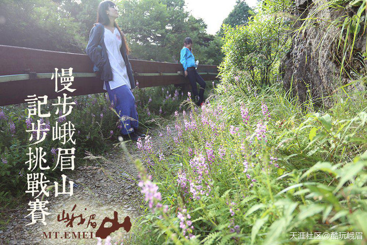华为手机行走计算步数
:慢步峨眉山·记步挑战赛