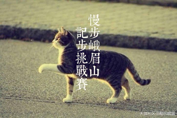 华为手机行走计算步数
:慢步峨眉山·记步挑战赛-第2张图片-亚星国际官网