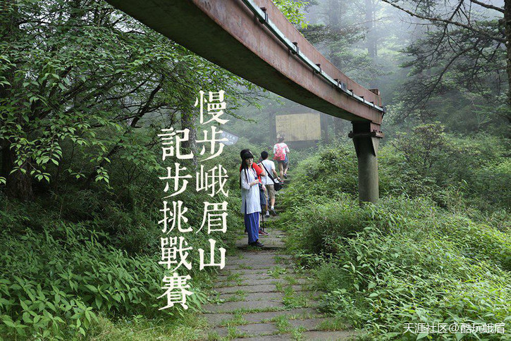 华为手机行走计算步数
:慢步峨眉山·记步挑战赛-第7张图片-亚星国际官网