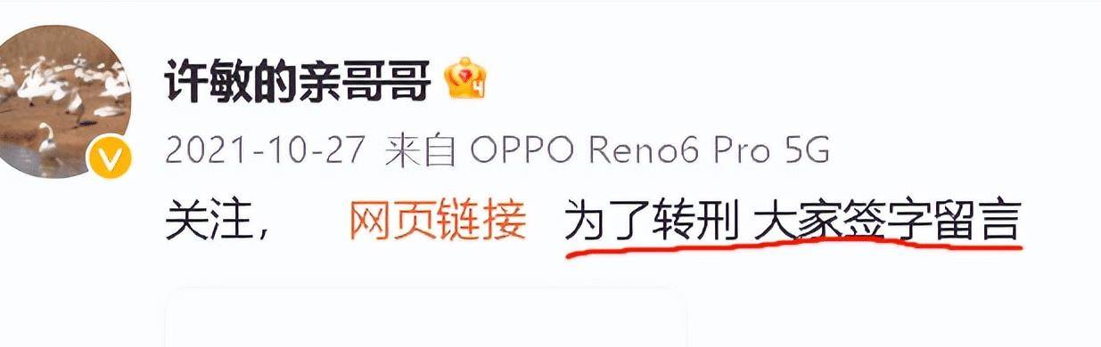 苹果12韩版好不好呢:可怜：上了一当又一当，当当都一样