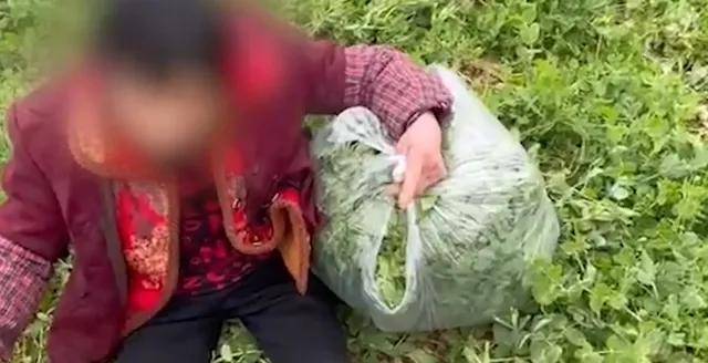 丰云悦享有苹果版的嘛:打开生活的正确方式：与人为善，悦人悦己