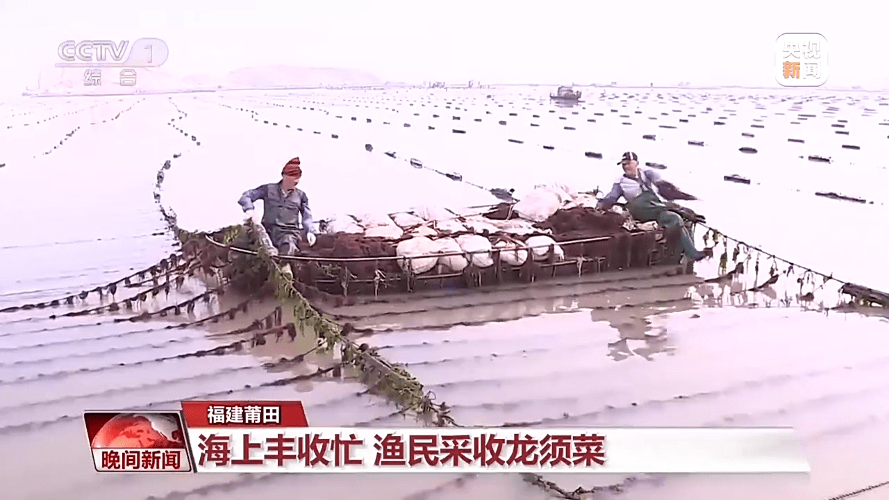苹果的艾斯极速版怎么说:建设高标准农田、铺设智能滴灌系统……各地春耕备耕有序推进-第3张图片-亚星国际官网