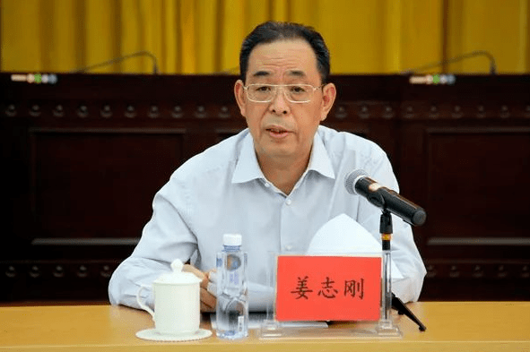 双胞胎跳小苹果韩语版:姜志刚，被查