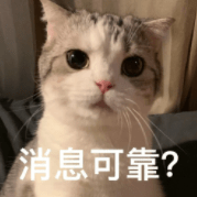 探心交友苹果版
:飞机是什么聊天软件