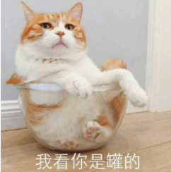 探心交友苹果版
:飞机是什么聊天软件-第2张图片-亚星国际官网
