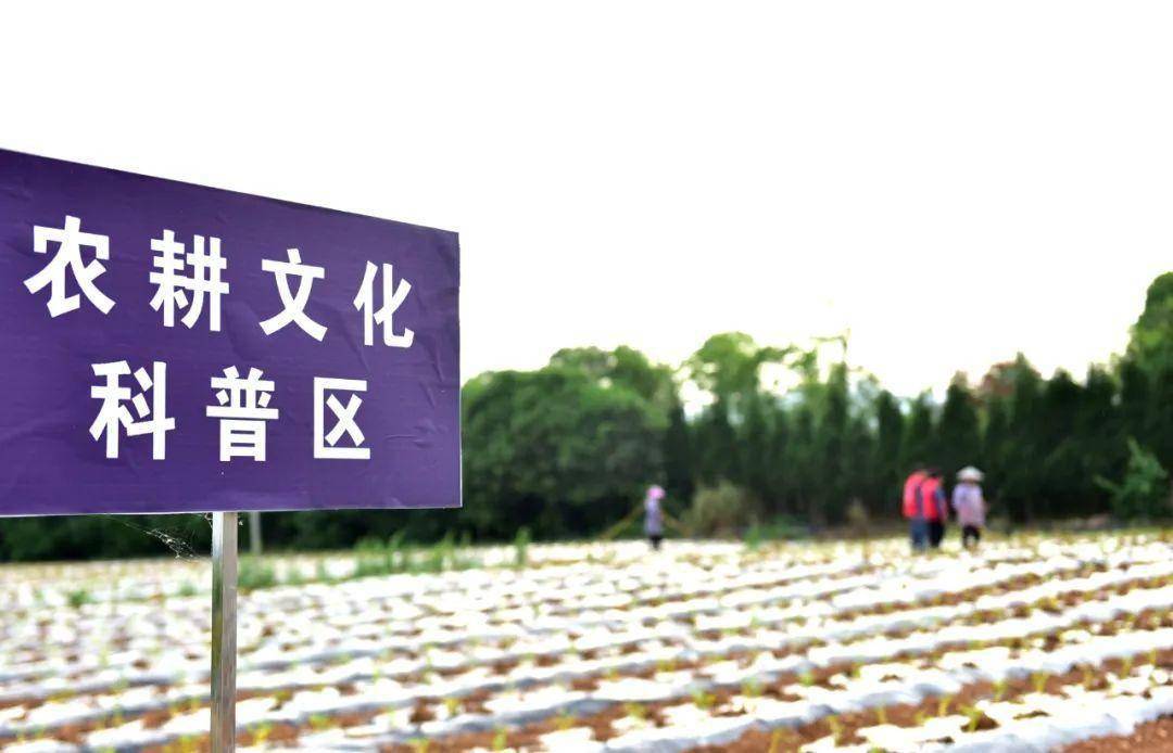 2017苹果版QQ邮箱:【凝心聚力谋发展 踔厉奋发谱新篇】黄平：电力护航现实版“QQ农场”增收致富-第4张图片-亚星国际官网