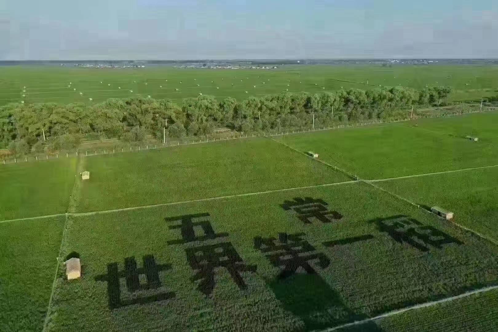 秘书破解版苹果:稻花香2号乘中国商界会的春风走出国门