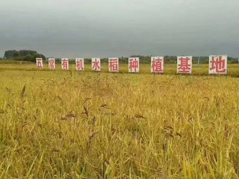 秘书破解版苹果:稻花香2号乘中国商界会的春风走出国门-第5张图片-亚星国际官网