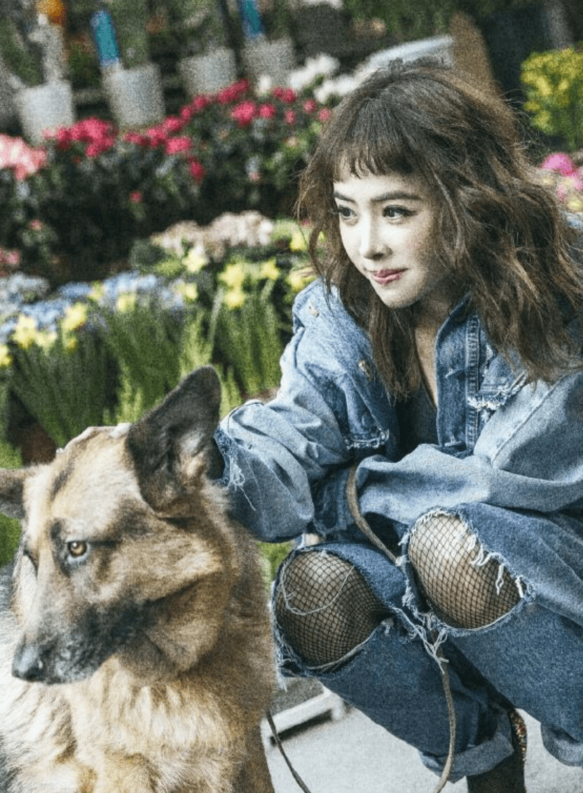 手机演员表:微博之夜？蔡依林封杀？李一桐轧戏？孔雪儿脸？沈月陈哲远合作？