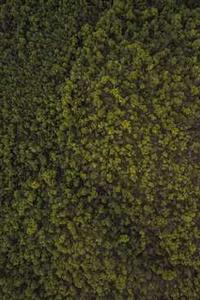 拈花手机版-第2张图片-亚星国际官网 拈花手机版-第2张图片-亚星国际官网