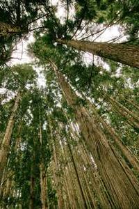 苹果10青春版价格-第2张图片-亚星国际官网 苹果10青春版价格-第2张图片-亚星国际官网
