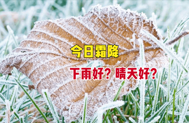 今日霜降，霜降当天下雨好还是晴天好？看农谚怎么说？