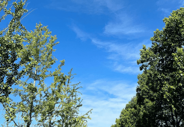 今日霜降，霜降当天下雨好还是晴天好？看农谚怎么说？-第2张图片-亚星国际官网