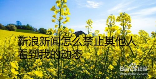 新浪新闻手机新浪网新闻新浪军事手机新浪网新浪新闻-第2张图片-亚星国际官网
