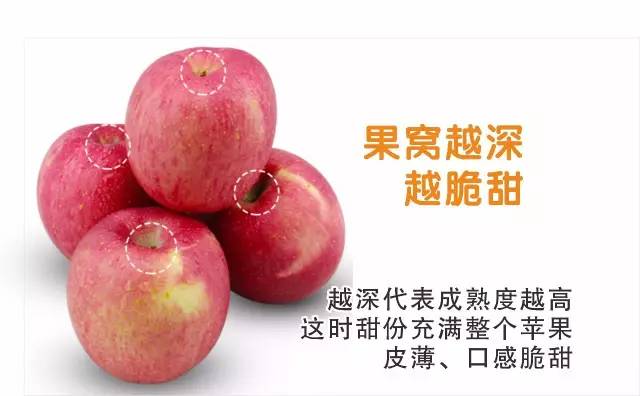 央视主产区苹果新闻河北苹果主产区在哪里-第2张图片-亚星国际官网