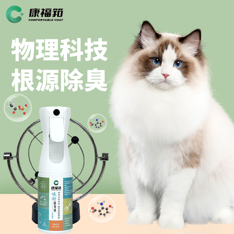 苹果康福中文版下载康福视频聊天软件官方下载