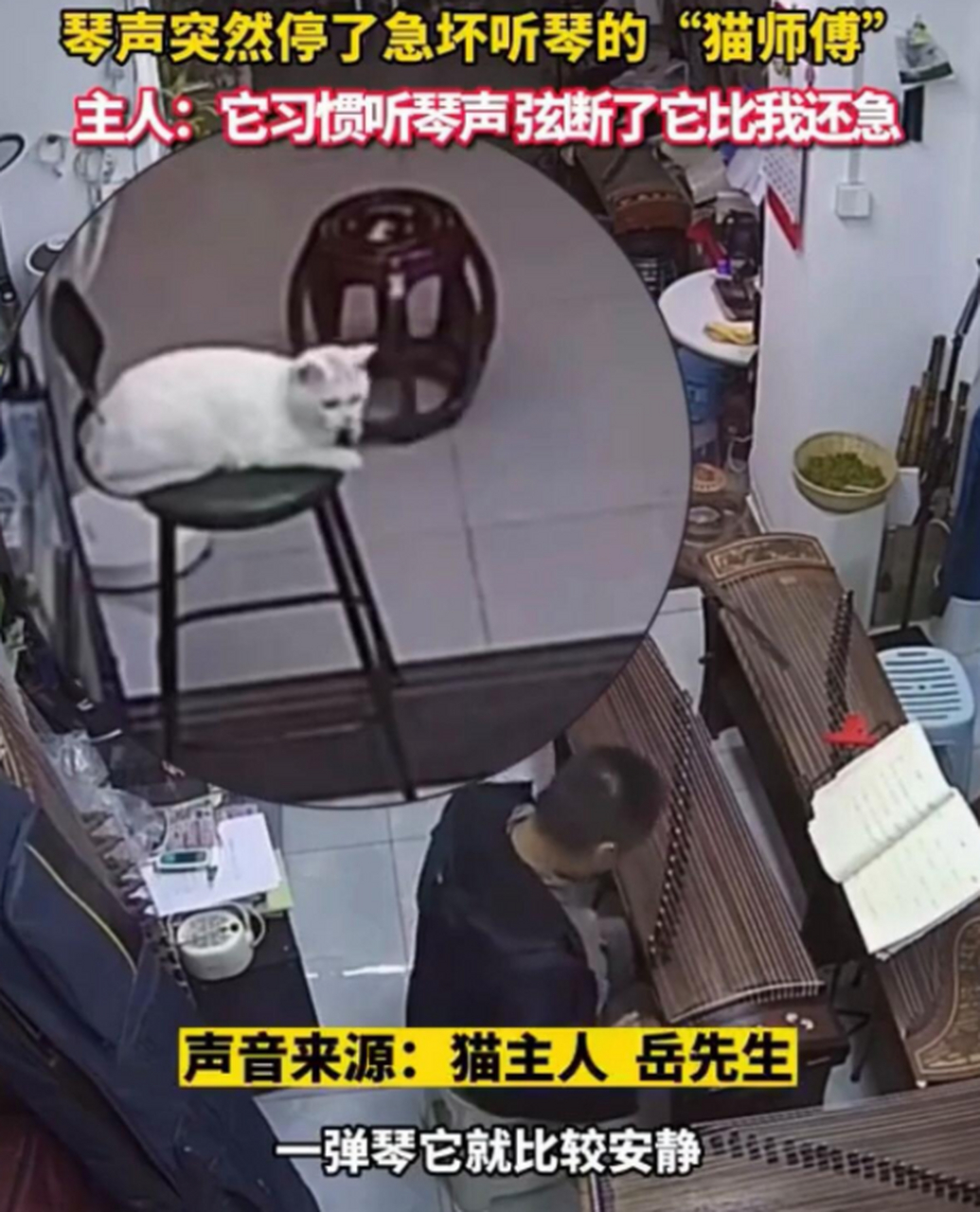 急听客户端云听客户端介绍
