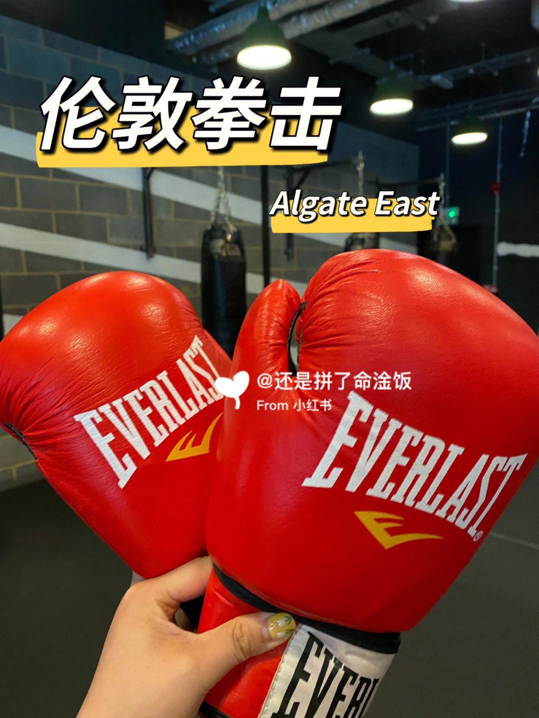playclub安卓版手机游戏俱乐部playclub整合版