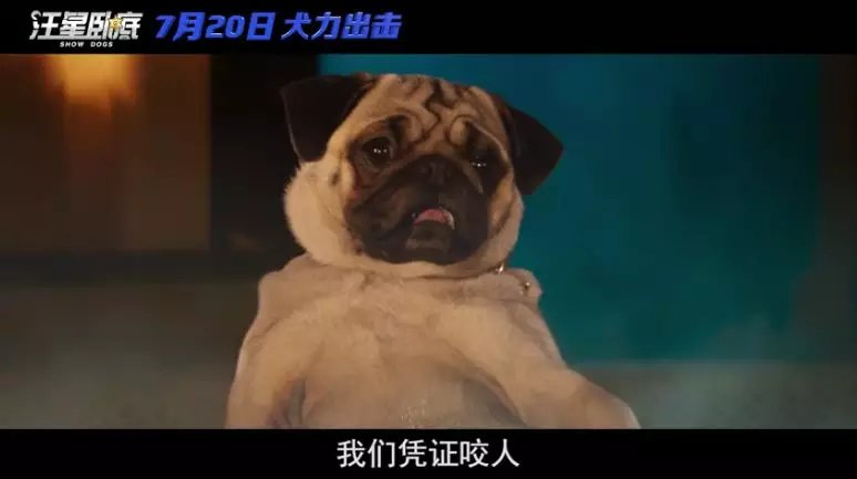 八哥手机版电影网日韩绝伦推理电视剧-第2张图片-亚星国际官网