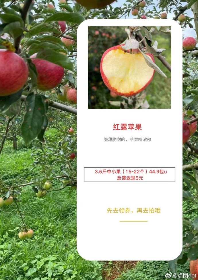 舌尖版形容苹果舌尖上的小镇苹果无敌版