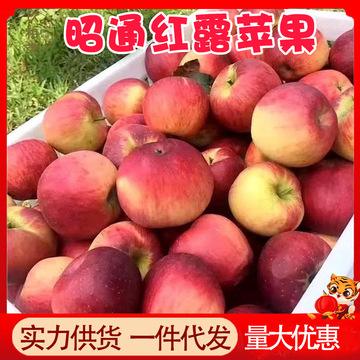 cf活动助手小苹果苹果版cf小苹果活动助手机手安全吗-第2张图片-亚星国际官网