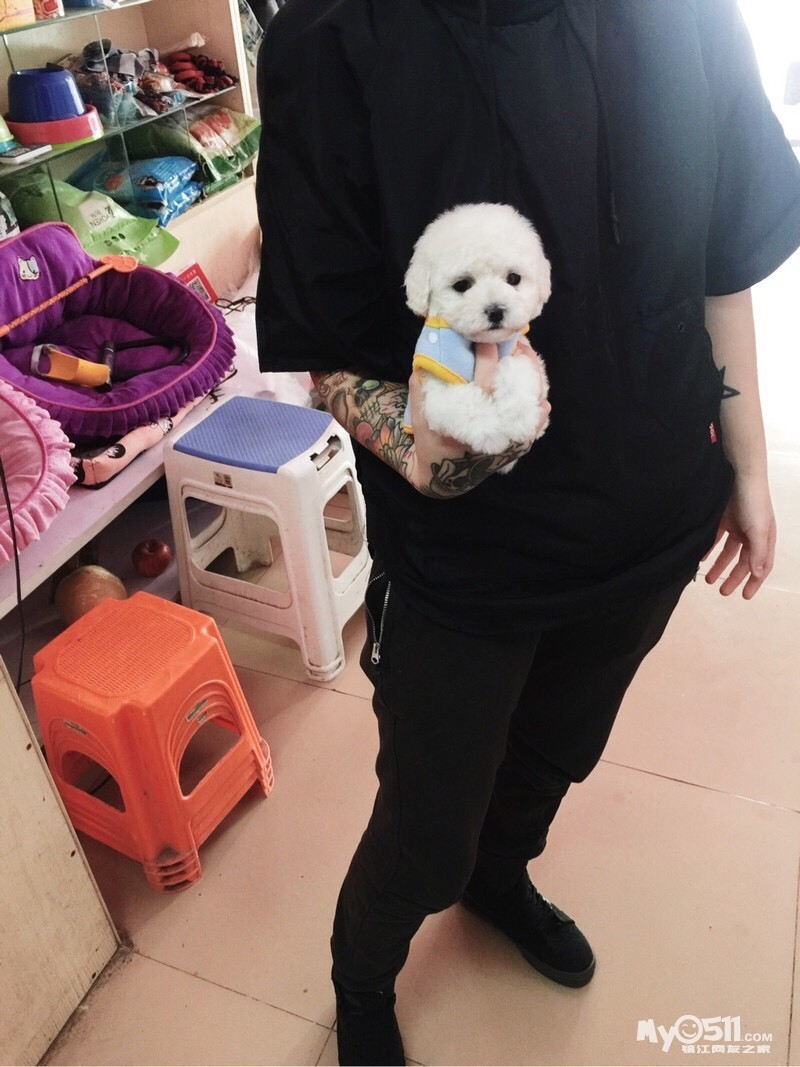 微小白苹果版小苹果app盒子版
