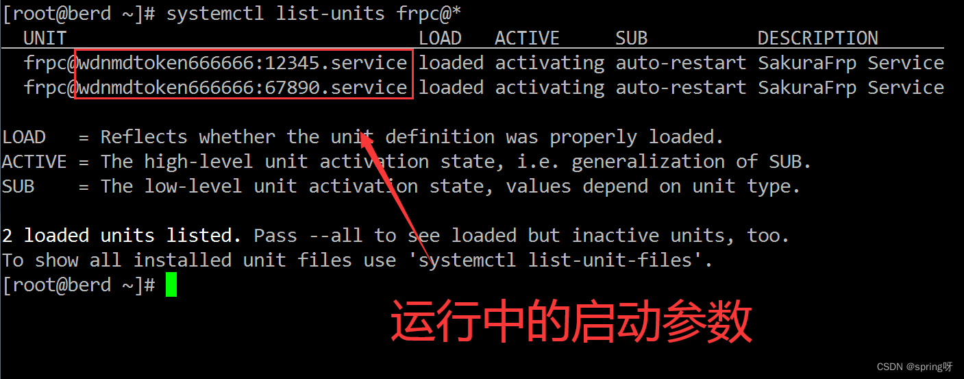 sakurafrp安卓客户端sakurafrp未连接到守护进程怎么办-第2张图片-亚星国际官网