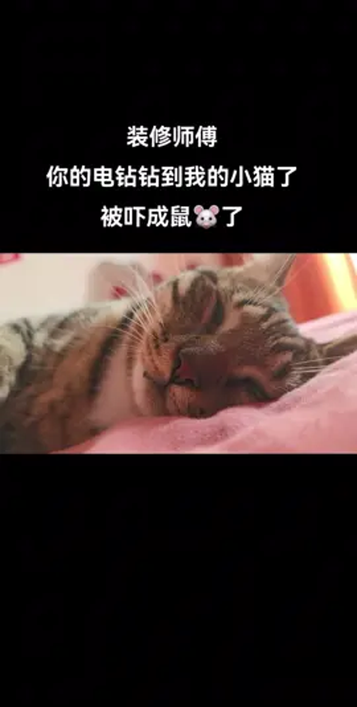 白色外星猫游戏下载手机版白色墓碑游戏手机版下载安装-第2张图片-亚星国际官网