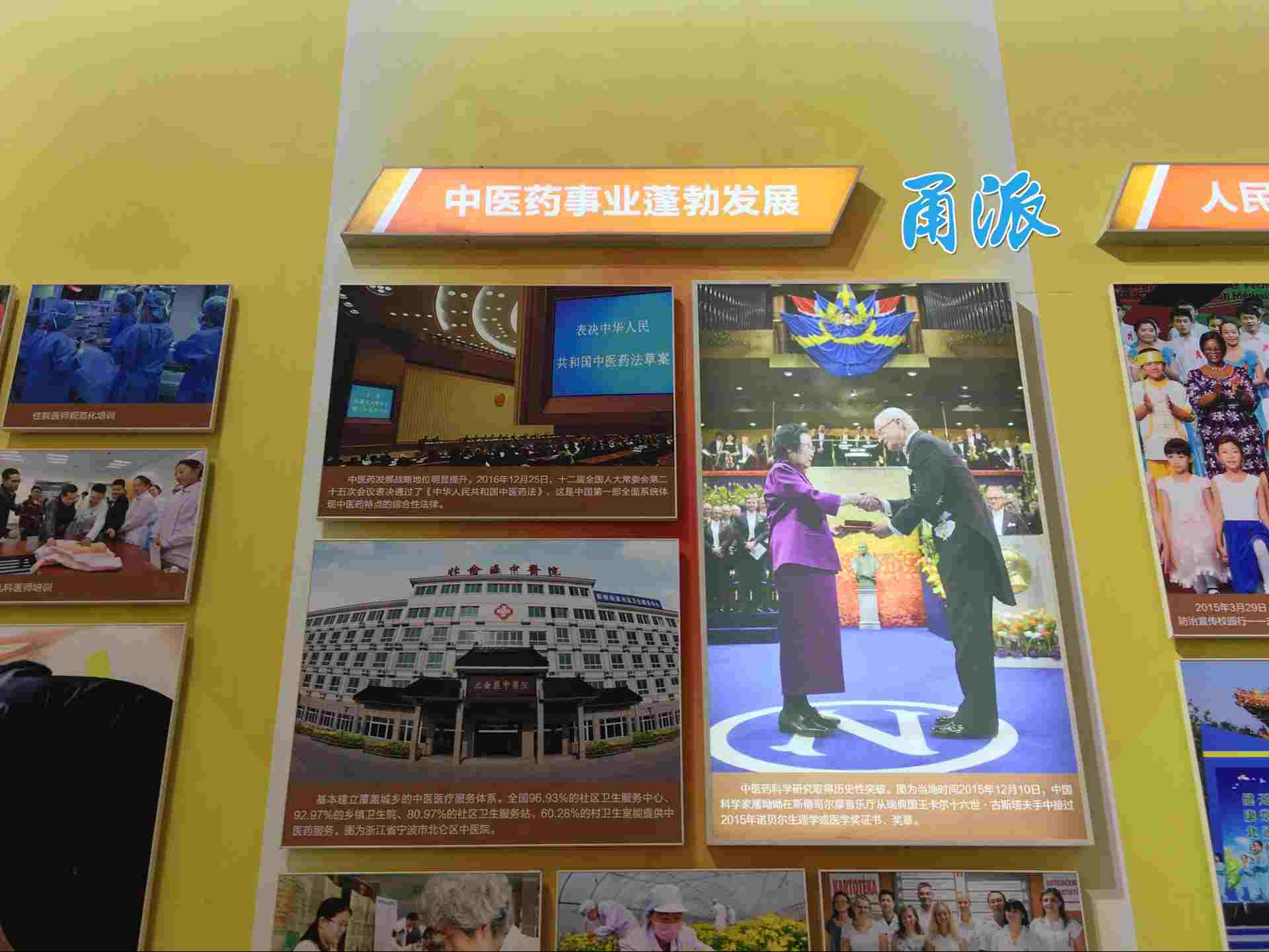 甬派学习客户端甬派app下载不了-第2张图片-亚星国际官网