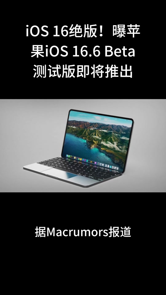 迅雷企业版苹果手机版ios(迅雷企业版ios最新2020)-第12张图片-有道翻译官网 迅雷企业版苹果手机版ios(迅雷企业版ios最新2020)-第12张图片-有道翻译官网